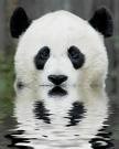 /album/fotogaleria/dcanzewm8caxn8poicaa0xu2pcagvexgbca5d9eofcae864qpcab9o9kacarntwfncatxhemucan695ircaesicfvcaqgqivica1j8dhkcaa3td42ca0x0whwcagyu1r8cav5wrrgca8rrx9j-jpg/